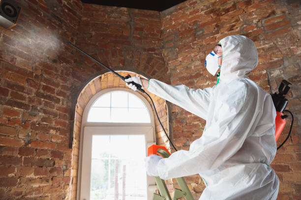 Best Mold Remediation for Healthcare Facilities  in Bagdad, AZ